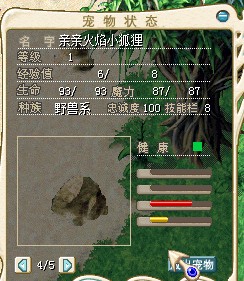 火焰小狐狸