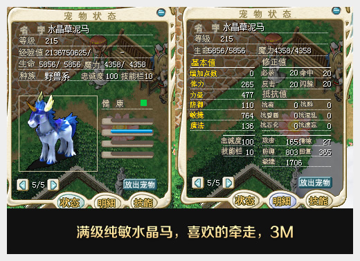 水马.jpg