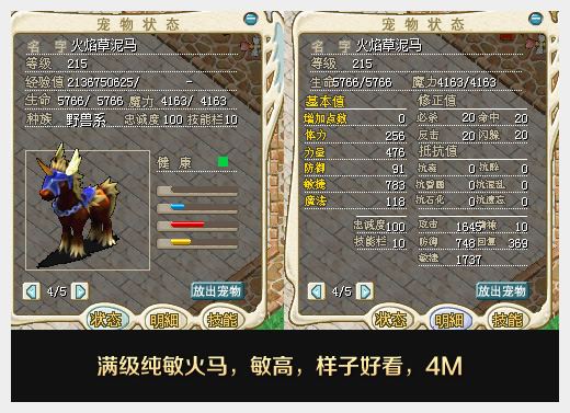 火马.jpg