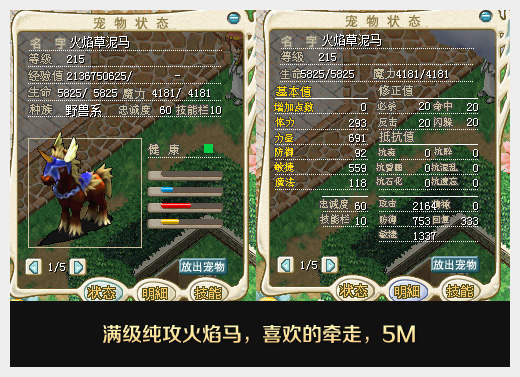 火马2.jpg