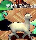 QQ图片20140212140152.jpg