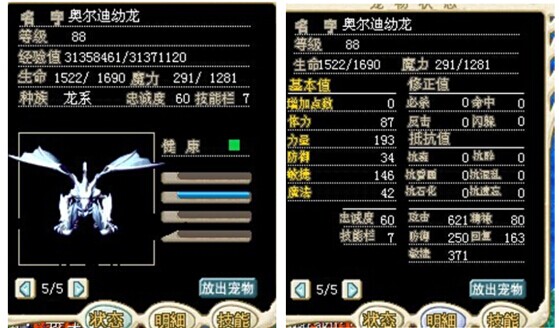 散步绝对回头率100%土豪必备，极品奥龙不多说！自己欣赏