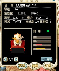 毯子猫.jpg