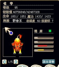 红狗1.jpg