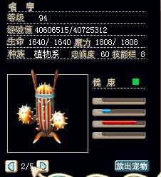 火舞1.jpg