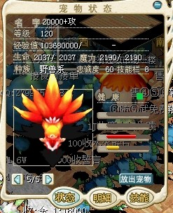 狐狸.jpg