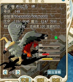 C鸟.jpg