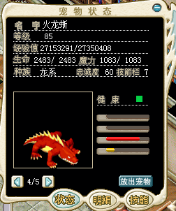 正面