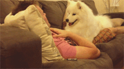 4.gif