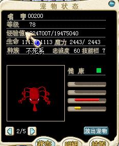 娘舅