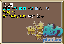 双满10B鞋.png