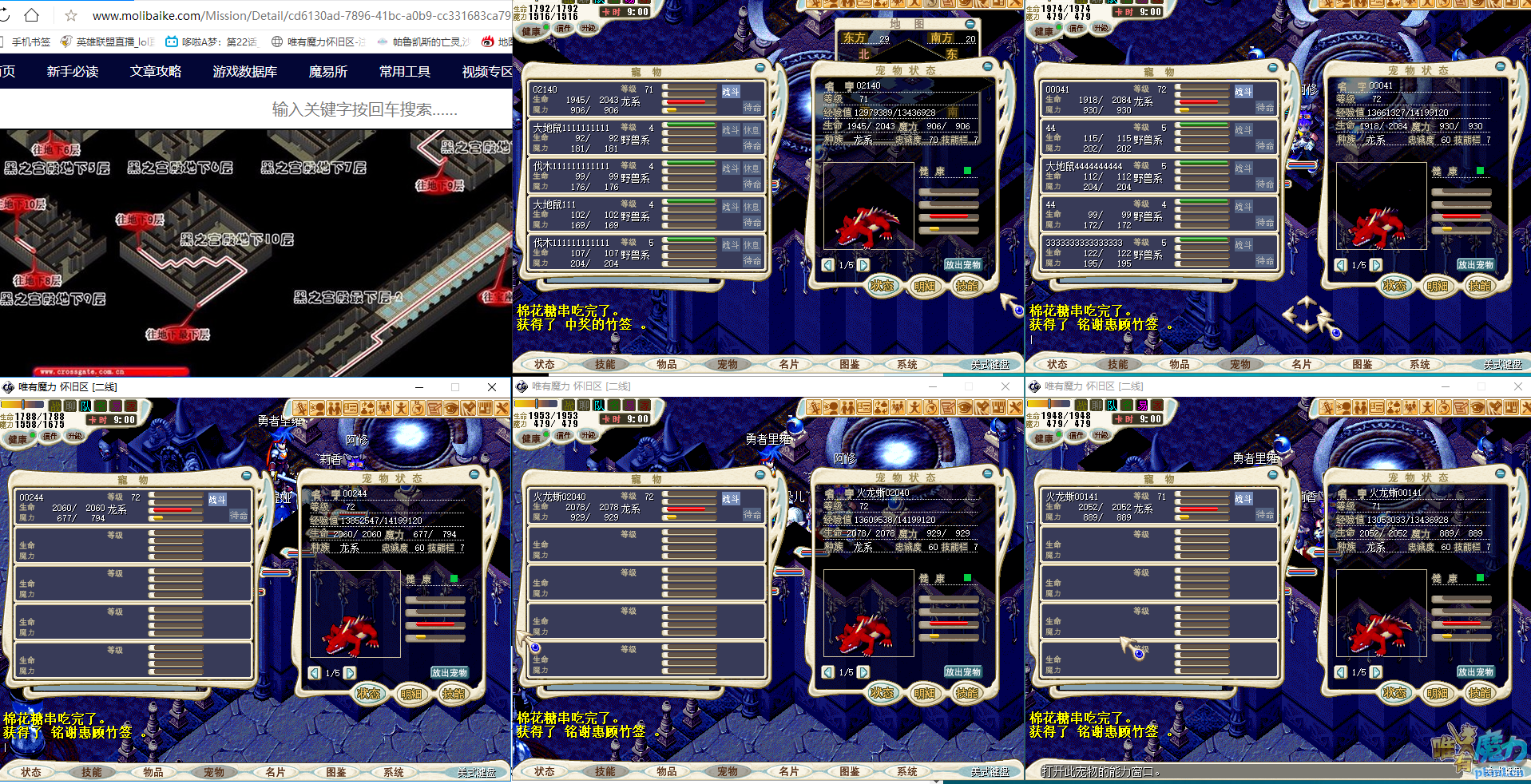 333里庸宠物.png