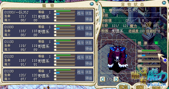 穴熊一队.png