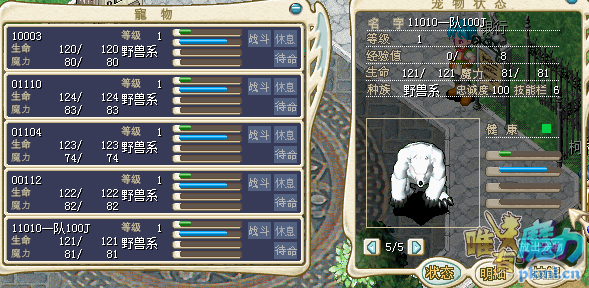 北极熊一队.png