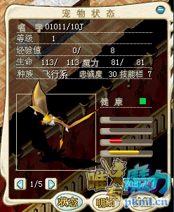 蝙蝠.png