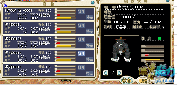 极品1练黑熊888一队