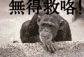 未命名.gif