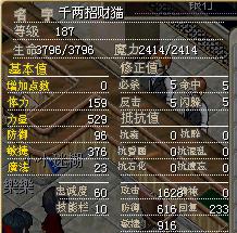 猫猫1.jpg.jpg