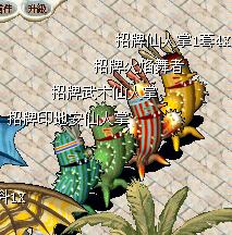 招牌仙人掌.JPG
