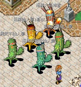 仙人掌.JPG