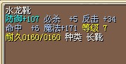水龙靴.jpg