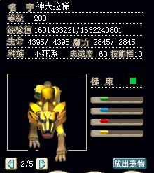 加敏5X
