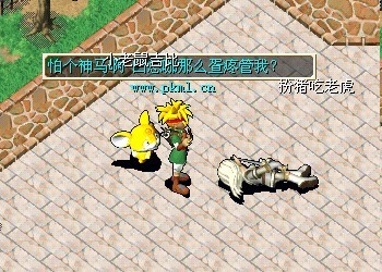 超级群：65086068