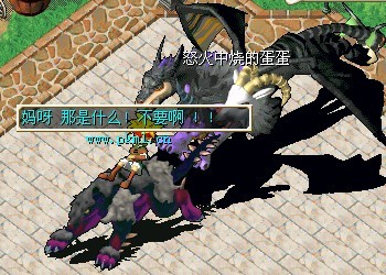超级群：65086068