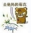 去打妈的.jpg