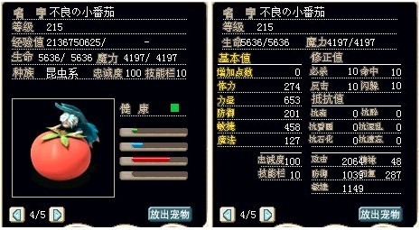 番茄