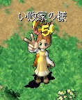样子.jpg
