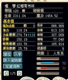 9.jpg