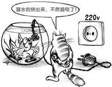 u=926503223,3841743115&amp;fm=52&amp;gp=0.jpg
