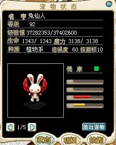 围巾兔