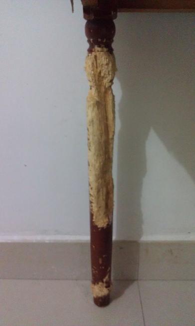 IMAG0409.jpg