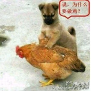 未命名.jpg