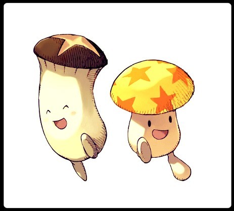 签名照片.jpg