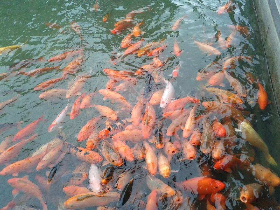 QQ图片20130525174953.jpg