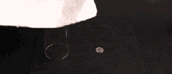 moshu.gif