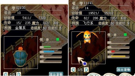 宠物.jpg