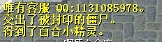 17.jpg